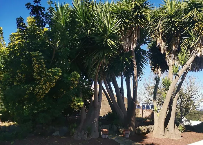 Vakantiehuis La Rosa Vieja