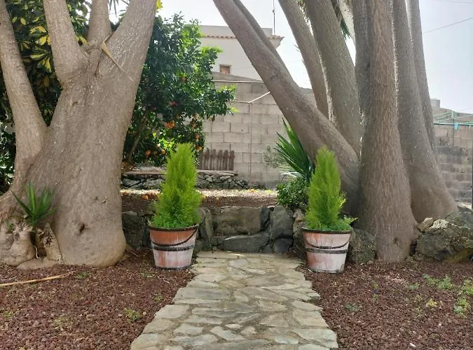 La Rosa Vieja * Erjos-El Tanque