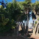 Ferienhaus La Rosa Vieja