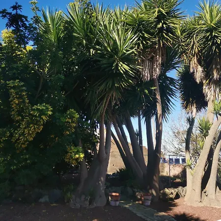 بيت للعطل La Rosa Vieja